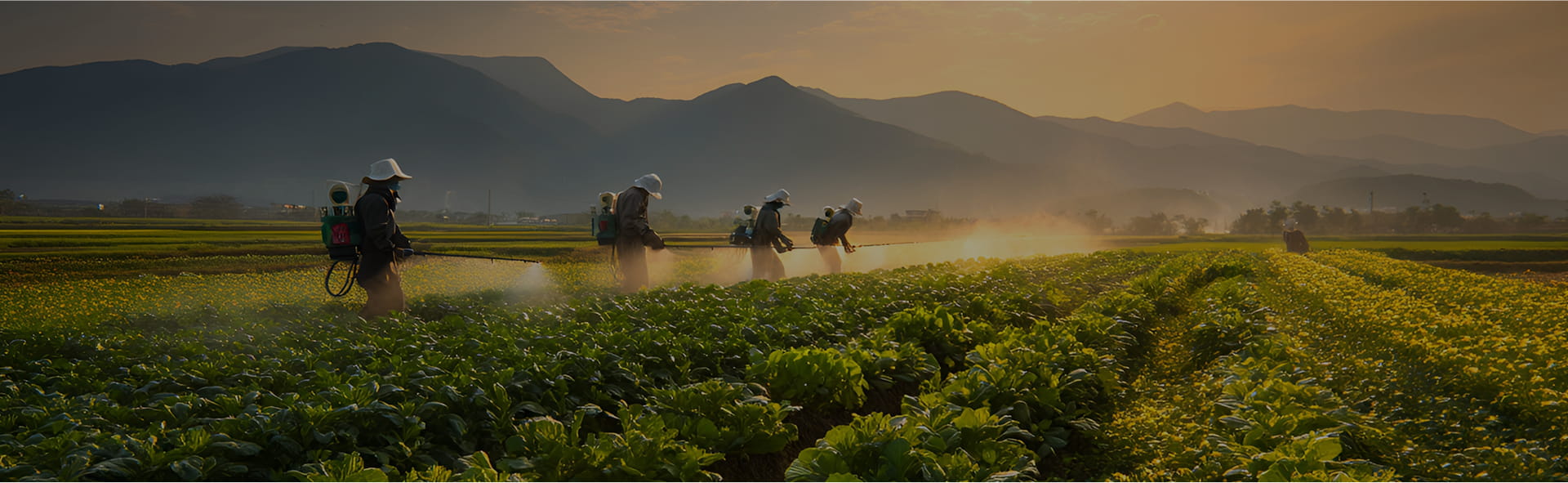 Hebei Guituo New Material Co., Ltd.